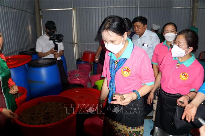 Đại biểu Hội Liên hiệp Phụ nữ Lào tham quan Hợp tác xã BestOne tại phường An Phú, thành phố Tam Kỳ, đơn vị chuyên sản xuất, chế biến các sản phẩm từ quả nhàu. Ảnh: Trịnh Bang Nhiệm - TTXVN