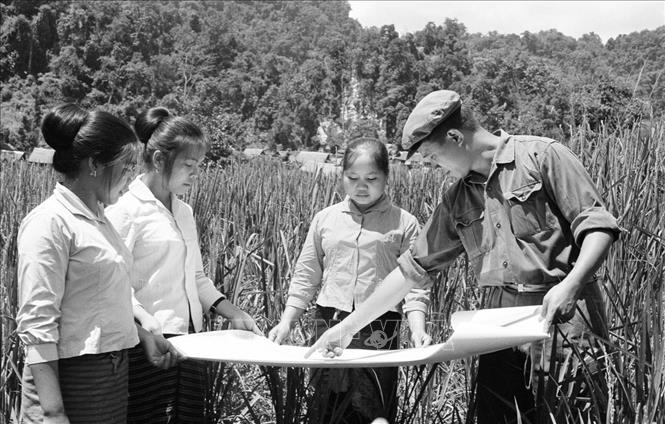 Chuyên gia nông nghiệp Việt Nam hướng dẫn học sinh Lào về quy hoạch ruộng bậc thang và kiểm tra giống lúa trồng thí nghiệm. Ảnh: TTXVN