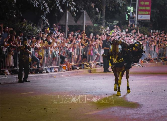 Cảnh sát cơ động kỵ binh biểu diễn các động tác với ngựa. Ảnh: Xuân Tư – TTXVN
