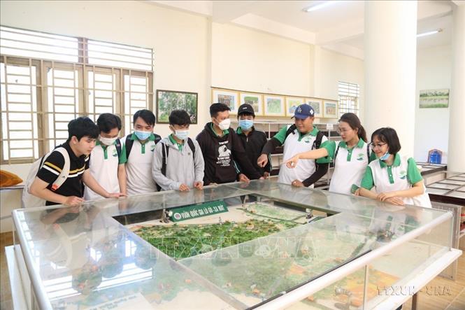 Sinh viên tìm hiểu mô hình tổng thể về Vườn quốc gia Lò Gò - Xa Mát (Tây Ninh). Ảnh: Giang Phương - TTXVN