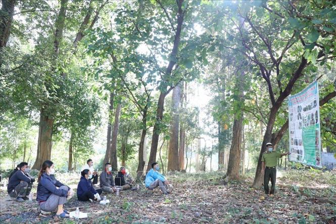 Tuyên truyền, giáo dục pháp luật về quản lý bảo vệ rừng cho người dân vùng đệm tại Vườn Quốc gia Yok Đôn. Ảnh: Tuấn Anh-TTXVN