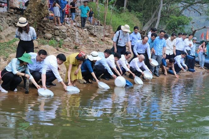 Thả 1.500 con cá giống tại đền An Mã (thuộc hồ Ba Bể) tại lễ kỷ niệm Ngày Quốc tế Đa dạng sinh học năm 2023. Ảnh: Vũ Hoàng Giang - TTXVN